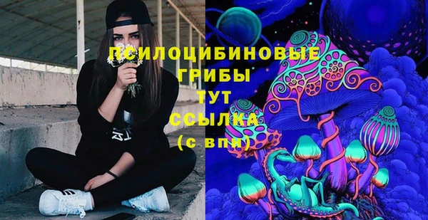 прущие крисы Баксан