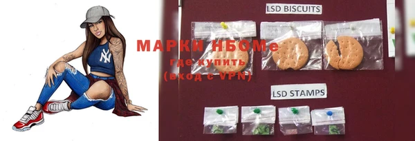 ГАЛЛЮЦИНОГЕННЫЕ ГРИБЫ Переславль-Залесский