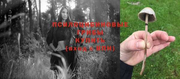 прущий лед Балахна