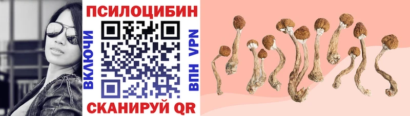 Псилоцибиновые грибы Magic Shrooms  Городище 